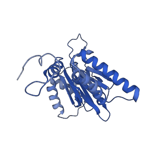 14202_7qxp_g_v1-0
Proteasome-ZFAND5 Complex Z+B state