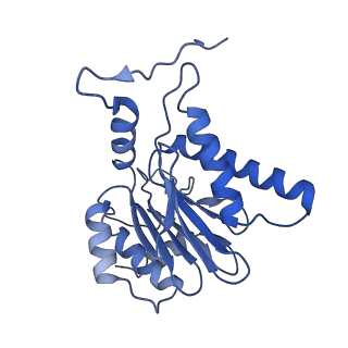 14202_7qxp_h_v1-0
Proteasome-ZFAND5 Complex Z+B state