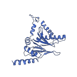 14202_7qxp_i_v1-0
Proteasome-ZFAND5 Complex Z+B state