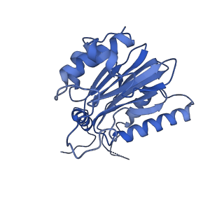 14202_7qxp_k_v1-0
Proteasome-ZFAND5 Complex Z+B state