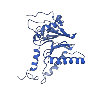 14202_7qxp_l_v1-0
Proteasome-ZFAND5 Complex Z+B state