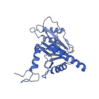 14202_7qxp_m_v1-0
Proteasome-ZFAND5 Complex Z+B state