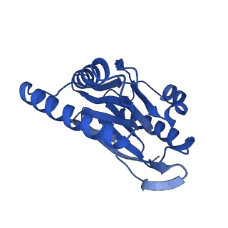 14202_7qxp_n_v1-0
Proteasome-ZFAND5 Complex Z+B state