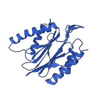 14202_7qxp_p_v1-0
Proteasome-ZFAND5 Complex Z+B state