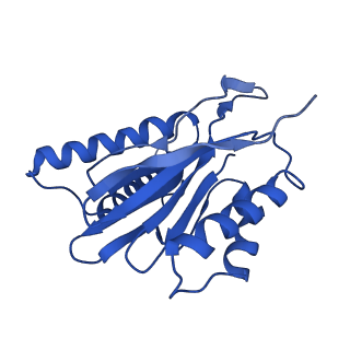 14202_7qxp_q_v1-0
Proteasome-ZFAND5 Complex Z+B state