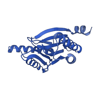 14202_7qxp_r_v1-0
Proteasome-ZFAND5 Complex Z+B state