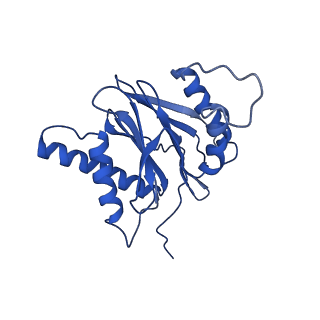 14202_7qxp_s_v1-0
Proteasome-ZFAND5 Complex Z+B state