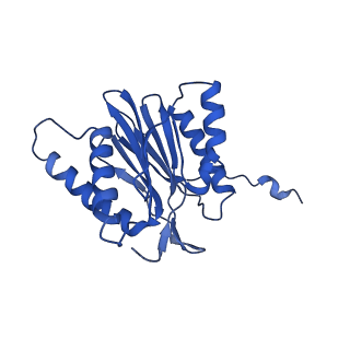 14202_7qxp_t_v1-0
Proteasome-ZFAND5 Complex Z+B state