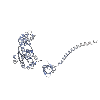14203_7qxu_C_v1-0
Proteasome-ZFAND5 Complex Z+C state