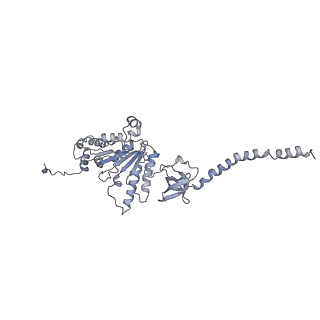 14203_7qxu_D_v1-0
Proteasome-ZFAND5 Complex Z+C state