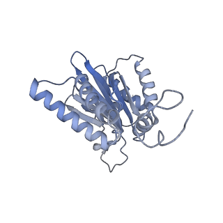 14203_7qxu_G_v1-0
Proteasome-ZFAND5 Complex Z+C state