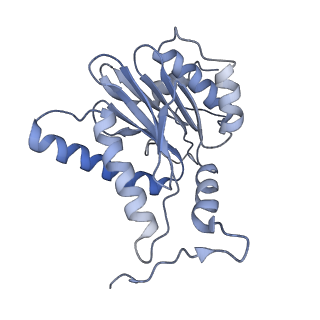 14203_7qxu_H_v1-0
Proteasome-ZFAND5 Complex Z+C state