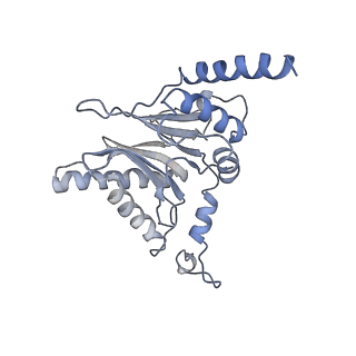 14203_7qxu_I_v1-0
Proteasome-ZFAND5 Complex Z+C state