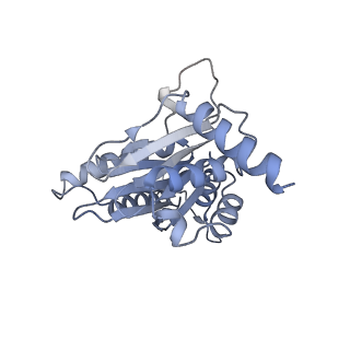14203_7qxu_J_v1-0
Proteasome-ZFAND5 Complex Z+C state