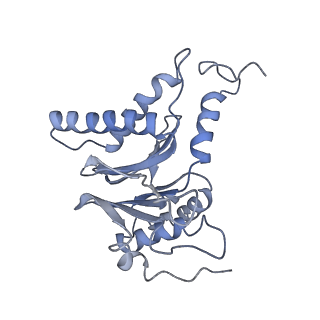 14203_7qxu_L_v1-0
Proteasome-ZFAND5 Complex Z+C state