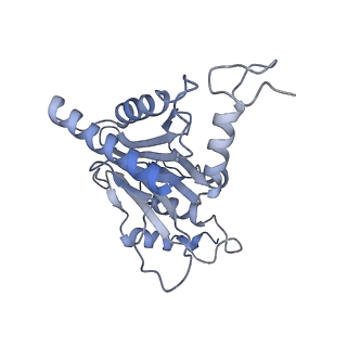 14203_7qxu_M_v1-0
Proteasome-ZFAND5 Complex Z+C state