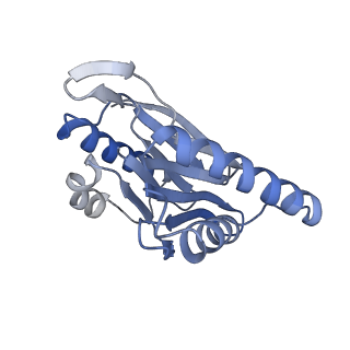 14203_7qxu_N_v1-0
Proteasome-ZFAND5 Complex Z+C state