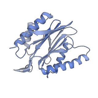 14203_7qxu_P_v1-0
Proteasome-ZFAND5 Complex Z+C state