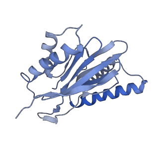 14203_7qxu_Q_v1-0
Proteasome-ZFAND5 Complex Z+C state