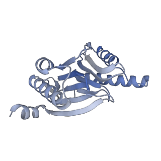 14203_7qxu_R_v1-0
Proteasome-ZFAND5 Complex Z+C state