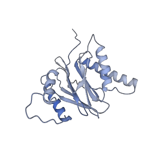 14203_7qxu_S_v1-0
Proteasome-ZFAND5 Complex Z+C state
