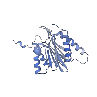 14203_7qxu_T_v1-0
Proteasome-ZFAND5 Complex Z+C state