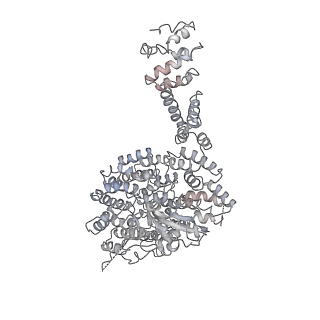 14203_7qxu_U_v1-0
Proteasome-ZFAND5 Complex Z+C state