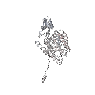 14203_7qxu_V_v1-0
Proteasome-ZFAND5 Complex Z+C state