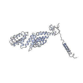 14203_7qxu_X_v1-0
Proteasome-ZFAND5 Complex Z+C state