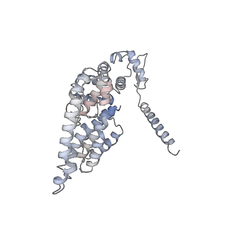 14203_7qxu_Y_v1-0
Proteasome-ZFAND5 Complex Z+C state