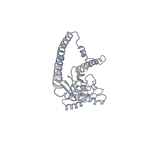 14203_7qxu_Z_v1-0
Proteasome-ZFAND5 Complex Z+C state