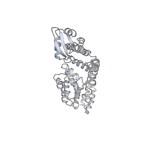 14203_7qxu_a_v1-0
Proteasome-ZFAND5 Complex Z+C state