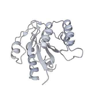 14203_7qxu_b_v1-0
Proteasome-ZFAND5 Complex Z+C state