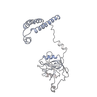 14203_7qxu_c_v1-0
Proteasome-ZFAND5 Complex Z+C state