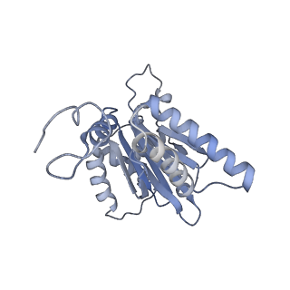 14203_7qxu_g_v1-0
Proteasome-ZFAND5 Complex Z+C state