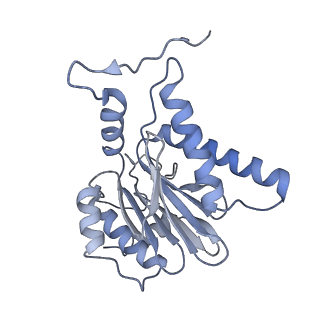 14203_7qxu_h_v1-0
Proteasome-ZFAND5 Complex Z+C state