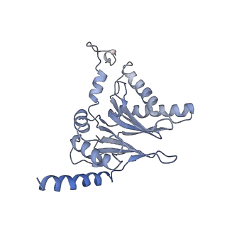 14203_7qxu_i_v1-0
Proteasome-ZFAND5 Complex Z+C state