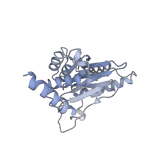 14203_7qxu_j_v1-0
Proteasome-ZFAND5 Complex Z+C state