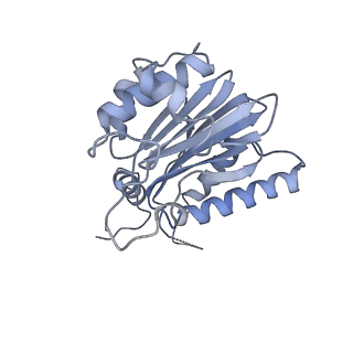 14203_7qxu_k_v1-0
Proteasome-ZFAND5 Complex Z+C state