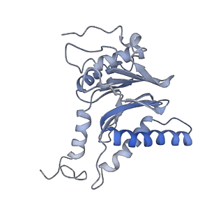 14203_7qxu_l_v1-0
Proteasome-ZFAND5 Complex Z+C state