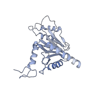 14203_7qxu_m_v1-0
Proteasome-ZFAND5 Complex Z+C state