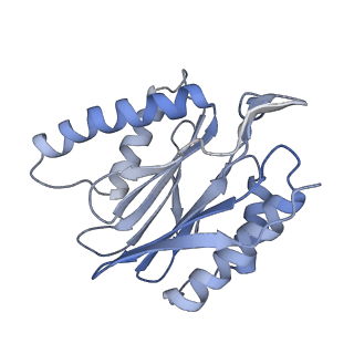 14203_7qxu_p_v1-0
Proteasome-ZFAND5 Complex Z+C state