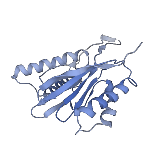 14203_7qxu_q_v1-0
Proteasome-ZFAND5 Complex Z+C state