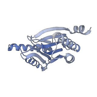 14203_7qxu_r_v1-0
Proteasome-ZFAND5 Complex Z+C state