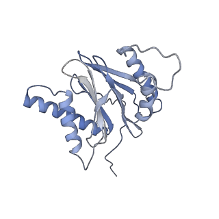 14203_7qxu_s_v1-0
Proteasome-ZFAND5 Complex Z+C state