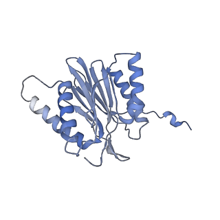 14203_7qxu_t_v1-0
Proteasome-ZFAND5 Complex Z+C state