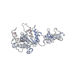 14204_7qxw_A_v1-0
Proteasome-ZFAND5 Complex Z+D state