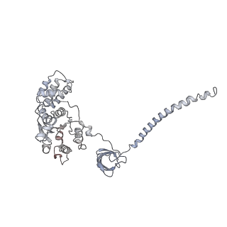 14204_7qxw_C_v1-0
Proteasome-ZFAND5 Complex Z+D state