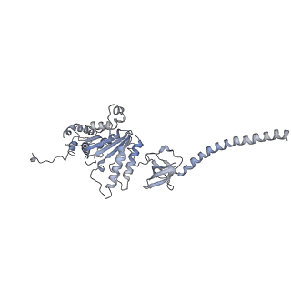 14204_7qxw_D_v1-0
Proteasome-ZFAND5 Complex Z+D state