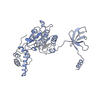 14204_7qxw_E_v1-0
Proteasome-ZFAND5 Complex Z+D state